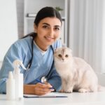 Plan Your Veterinary Clinic with Precision: New York City, USA