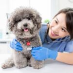 2027eaf1f5984ac683f3d29a437771cb
