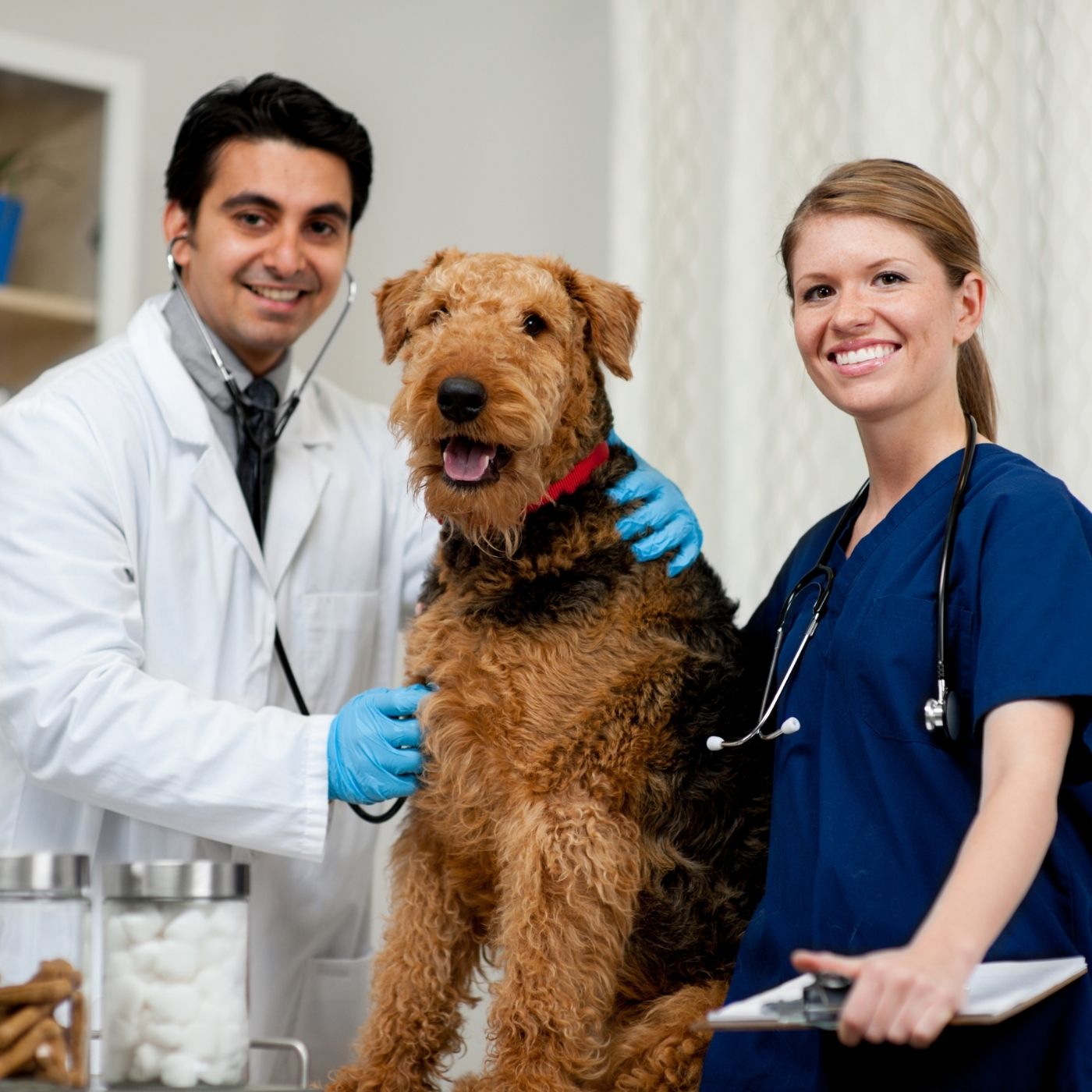 Société Centrale Canine: France's National Kennel Club and Founding Member of the FCI 16 47c703f96cec46678f62a663a2eb4f96