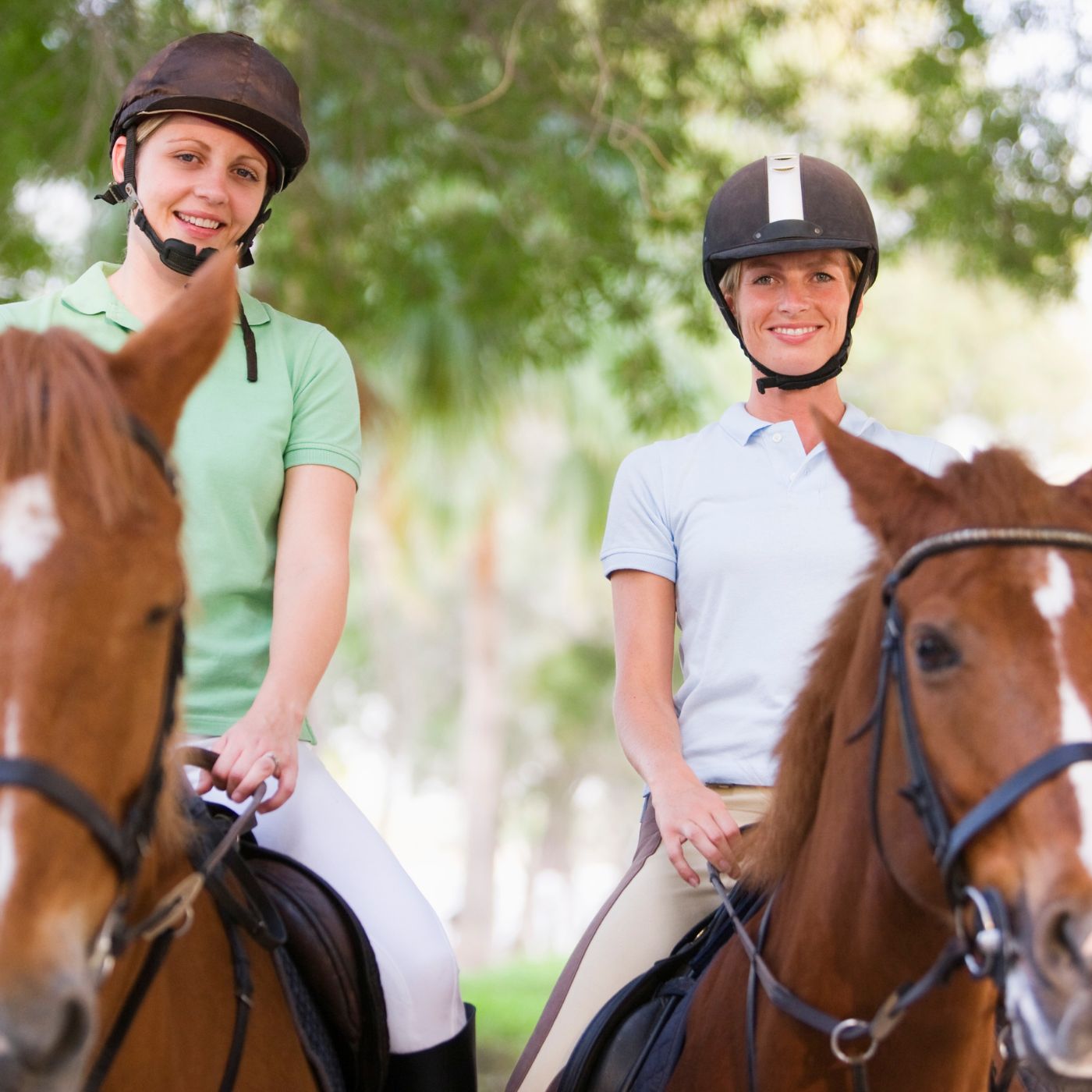 Chinese Equestrian Association (CEA): China's Official Governing Body for Horse Sports 16 5366bfdc10b54052bf8364247092d3d5 1